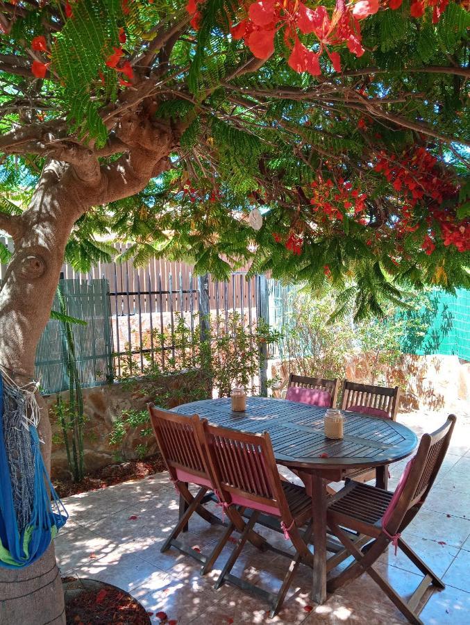 Ferienhaus Bungalow Con Flamboyan En Maspalomas