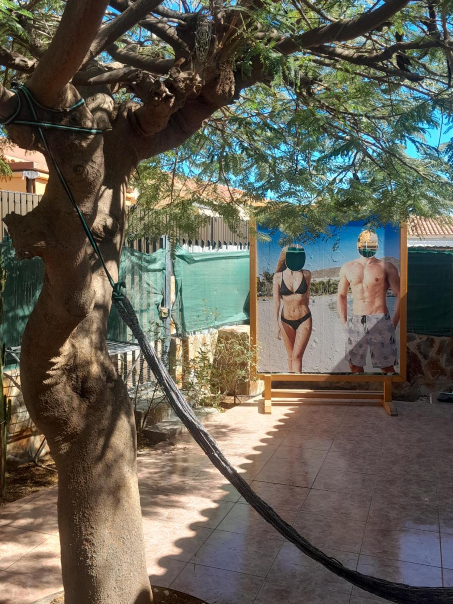 Casa vacanze Bungalow Con Flamboyan En Maspalomas